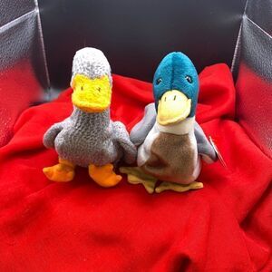 Ty BB Honks the goose and Jake the drake mallard duck